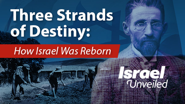 Three Strands of Destiny